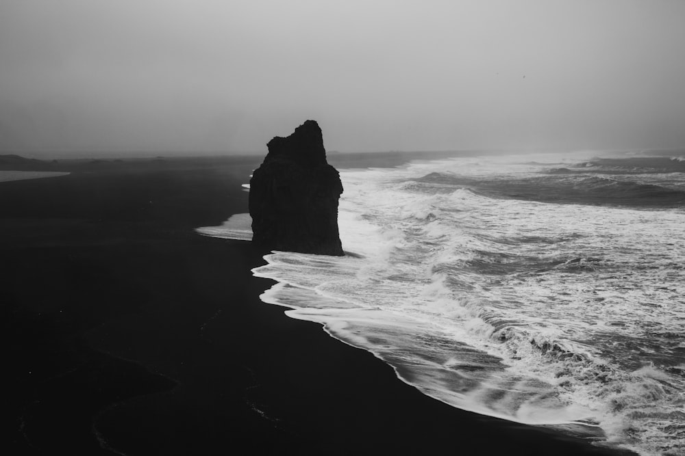 seashore during daytime