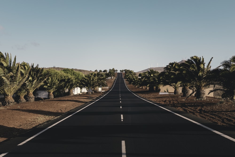 昼間の高速道路の全景