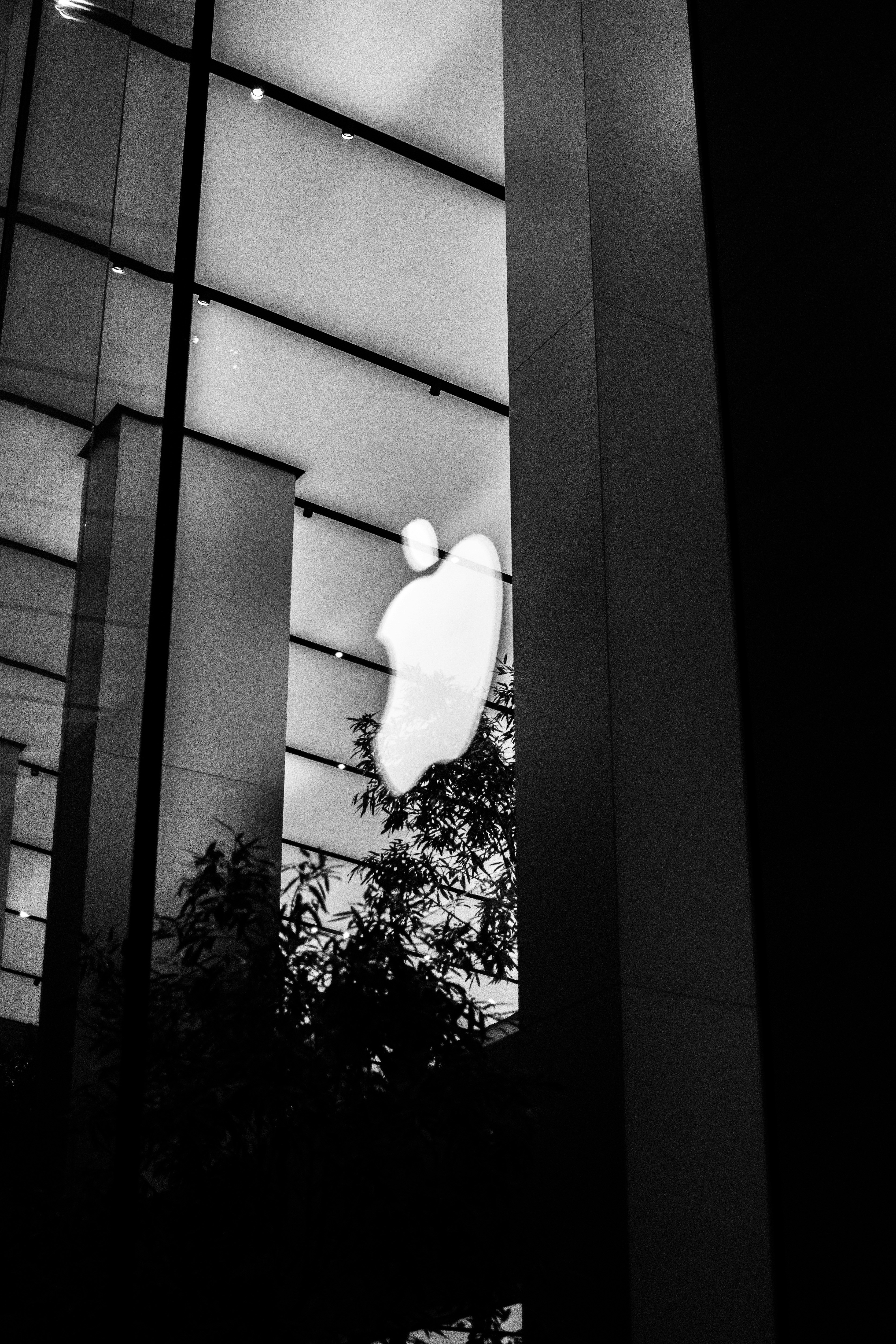 Apple's Iconic Logo: Symbolizing Simplicity and Innovation