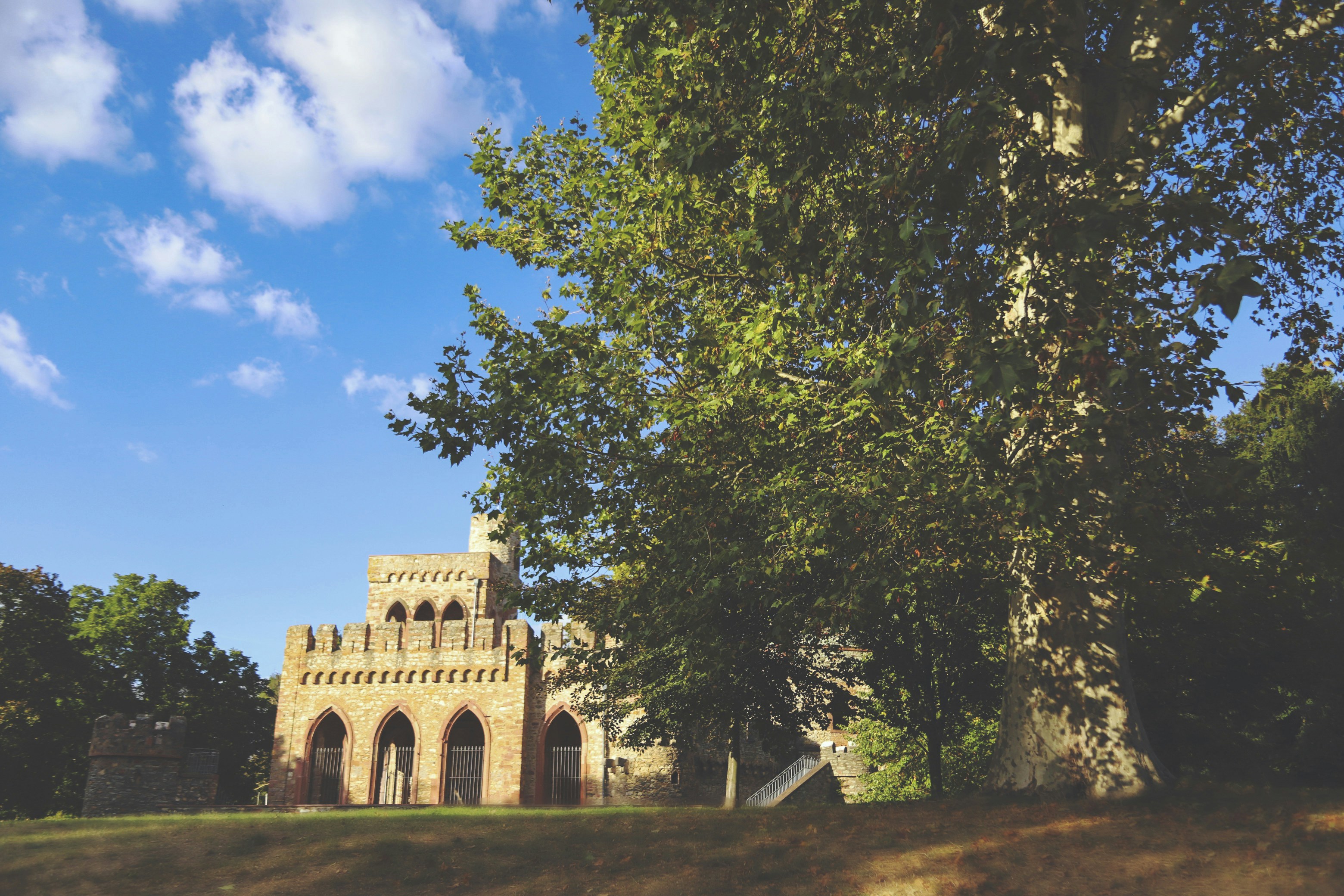 Photo by madhatterzone