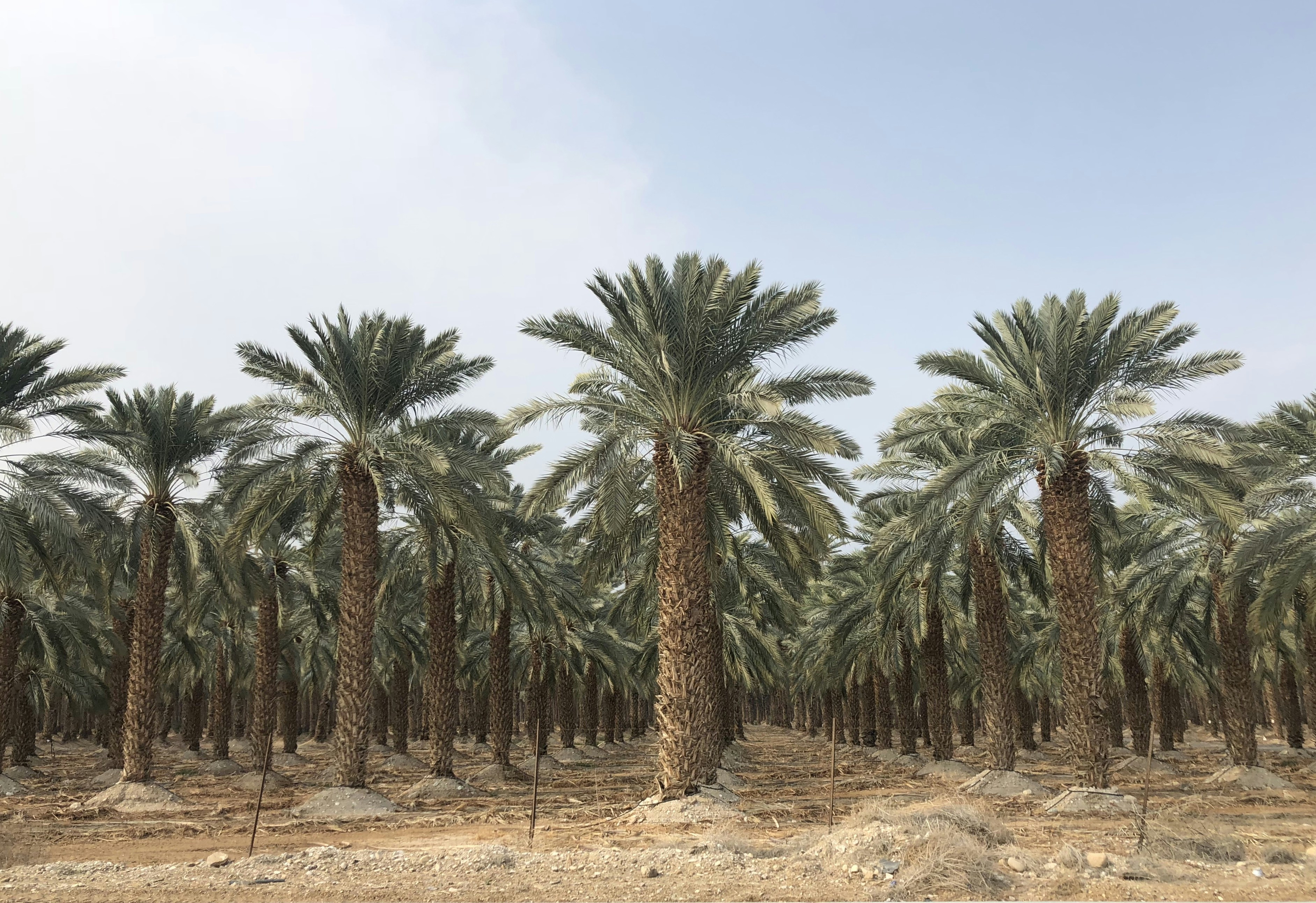 Photo by vladanaviva