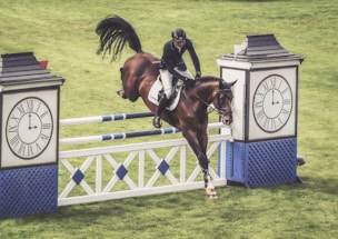 A horse and rider are captured mid-jump over a show jumping obstacle designed to look like two large clocks. The grassy field sets a natural backdrop, and the rider is dressed in typical equestrian attire including a helmet. The brown horse is equipped with a saddle and bridle.