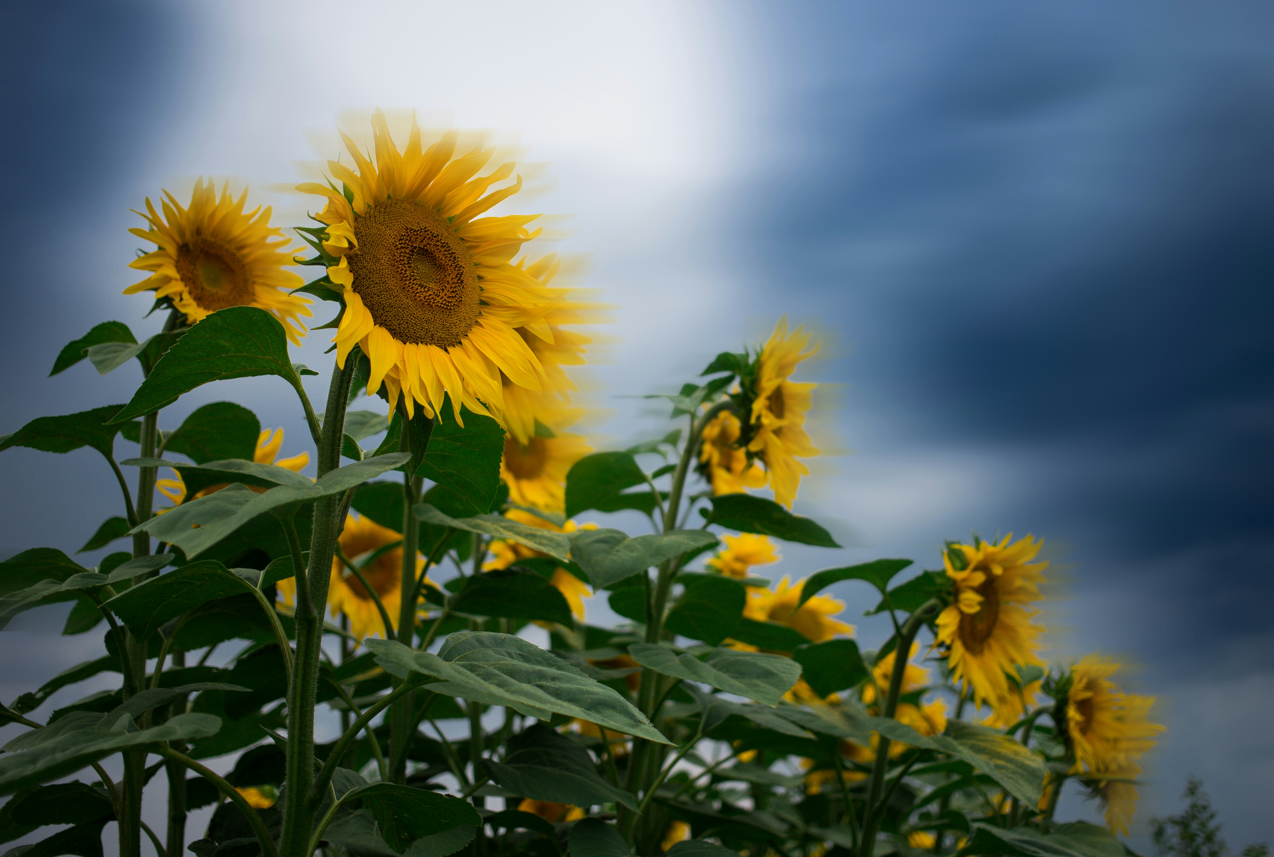 Photo by andrewpetrischev