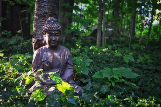 A tranquil Buddha bear meditating under a blossoming cherry tree at sunset.