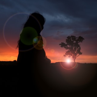 A cinematic frame showing a silhouette against a vibrant sunset, highlighting artistic composition.