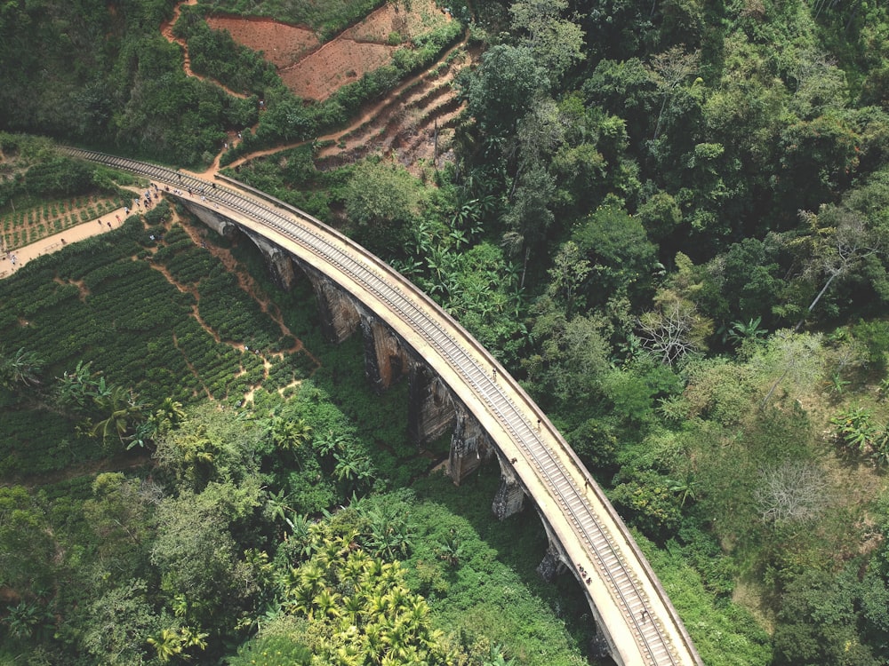 aerial photography of gray concrete bridge