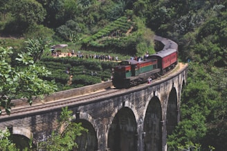 train on railway Sri Lanka