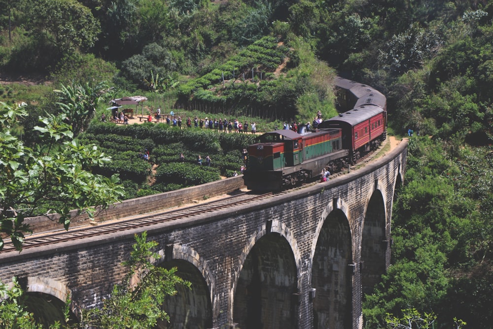 train on railway