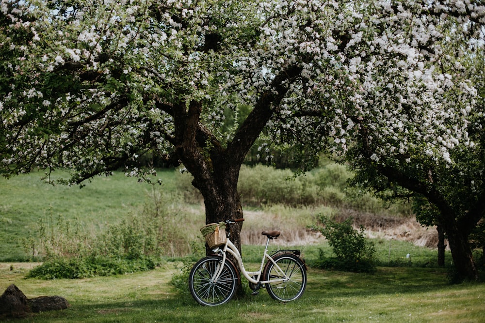 green-lefed tree