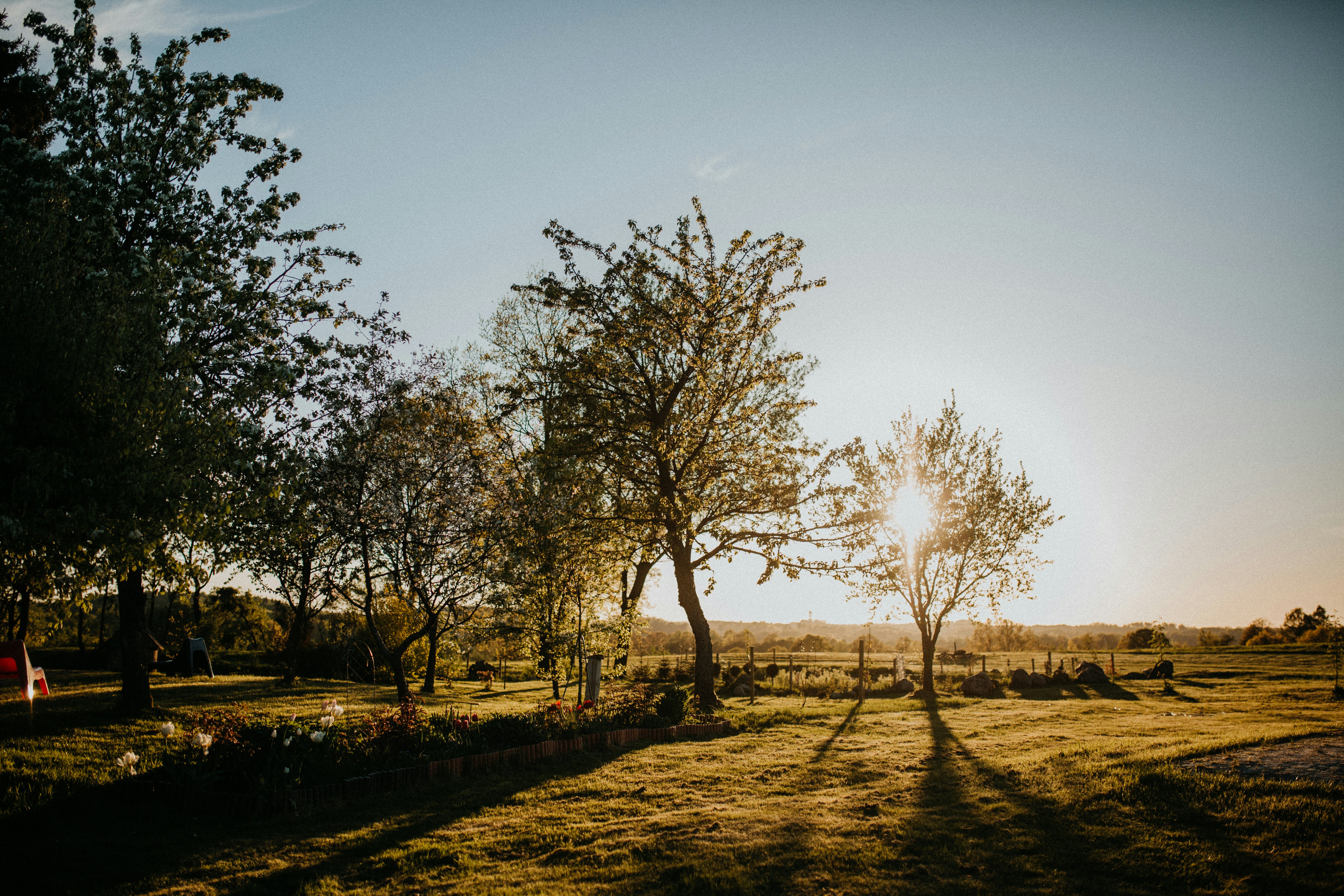 Photo by martafilipczyk