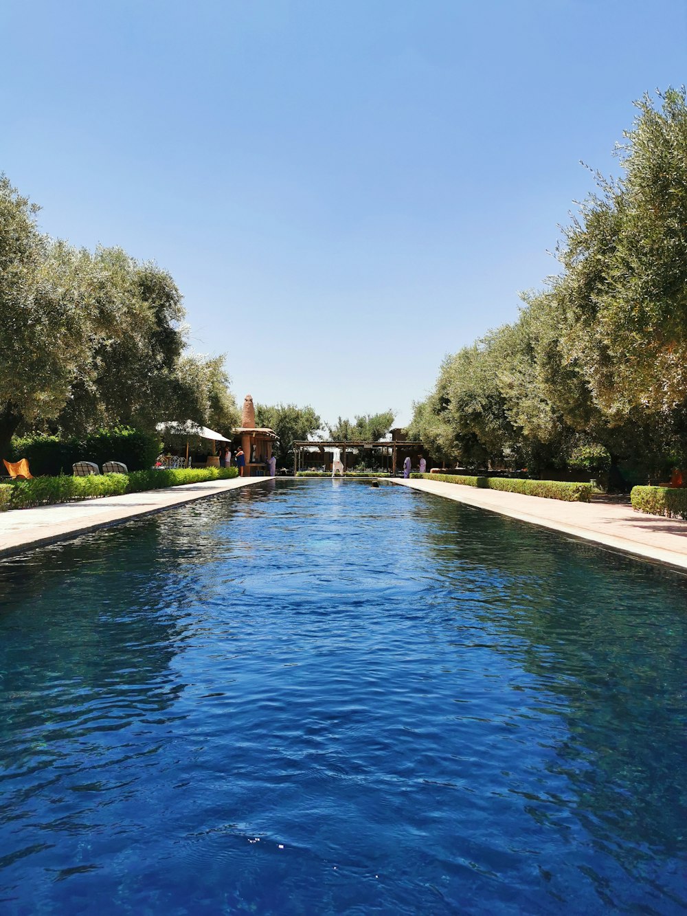 a long pool of water surrounded by trees