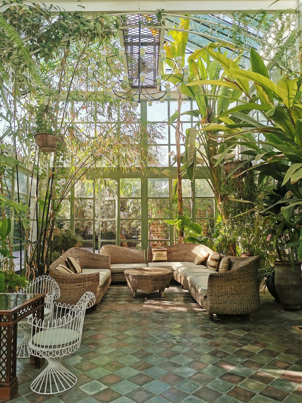 a room filled with lots of plants and furniture