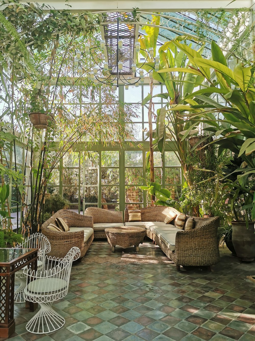 Une pièce remplie de plantes et de meubles