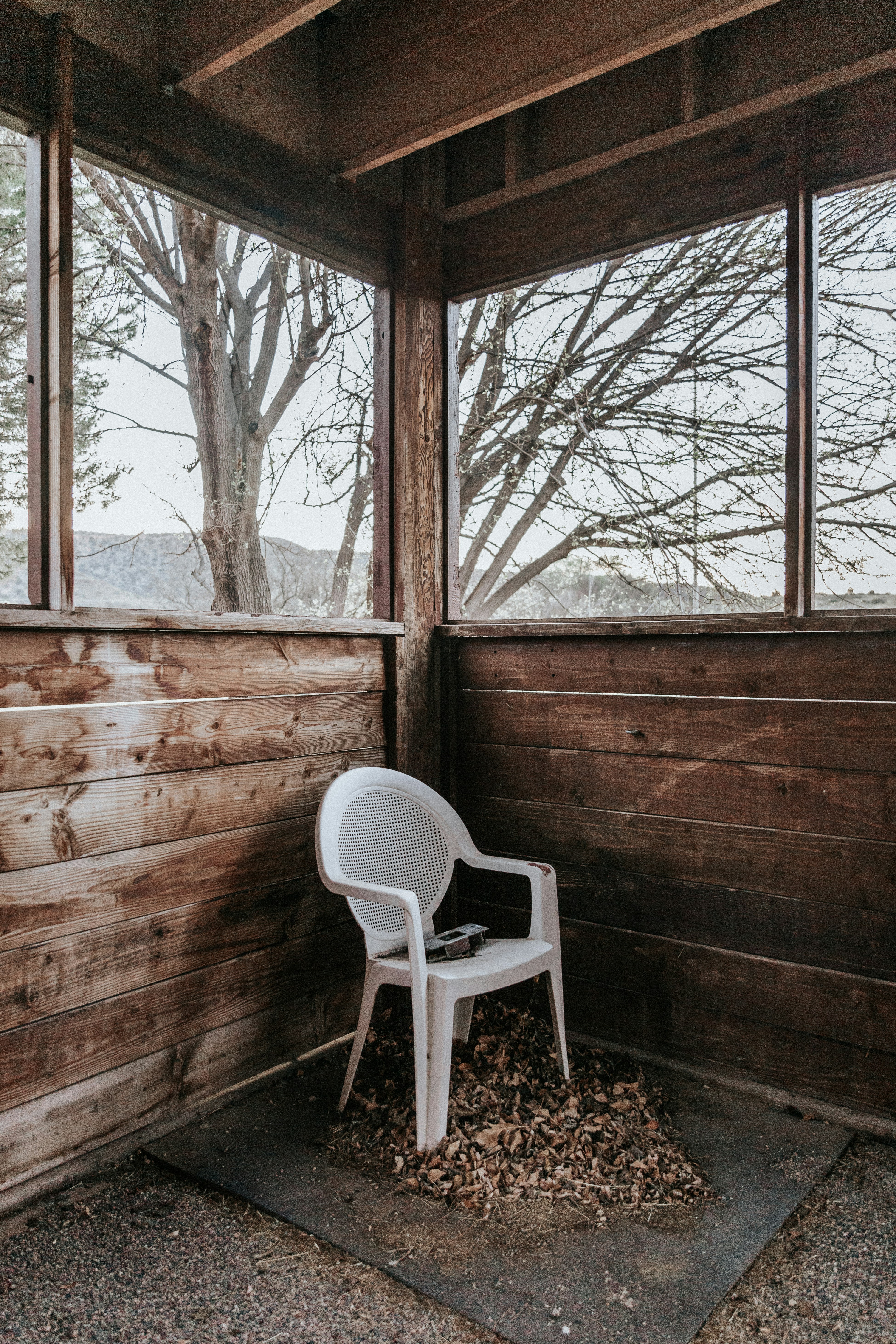 Photo by brandoncmorales