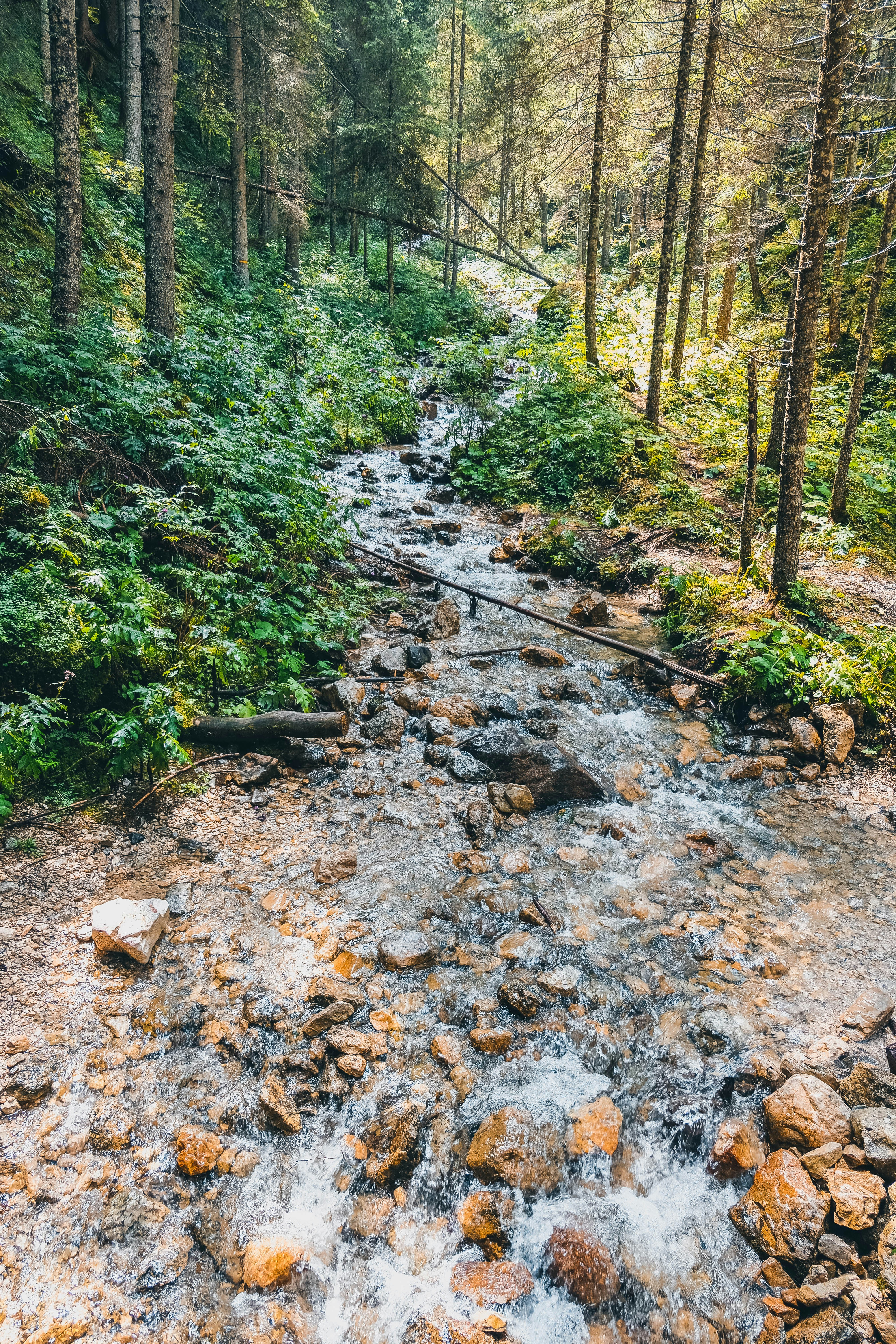 Photo by gretafarnedi