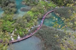 A wooden walkway curves through a lush landscape, surrounded by vibrant green vegetation and clear turquoise water. A group of people with colorful clothing and umbrellas walk along the path, exploring the natural scenery. Waterfalls and dense foliage are visible, adding to the serene beauty of the environment.