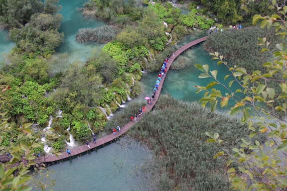 A wooden walkway curves through a lush landscape, surrounded by vibrant green vegetation and clear turquoise water. A group of people with colorful clothing and umbrellas walk along the path, exploring the natural scenery. Waterfalls and dense foliage are visible, adding to the serene beauty of the environment.