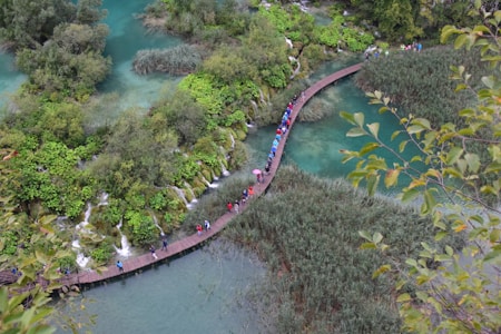 A wooden walkway curves through a lush landscape, surrounded by vibrant green vegetation and clear turquoise water. A group of people with colorful clothing and umbrellas walk along the path, exploring the natural scenery. Waterfalls and dense foliage are visible, adding to the serene beauty of the environment.