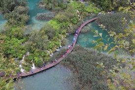 A wooden walkway curves through a lush landscape, surrounded by vibrant green vegetation and clear turquoise water. A group of people with colorful clothing and umbrellas walk along the path, exploring the natural scenery. Waterfalls and dense foliage are visible, adding to the serene beauty of the environment.