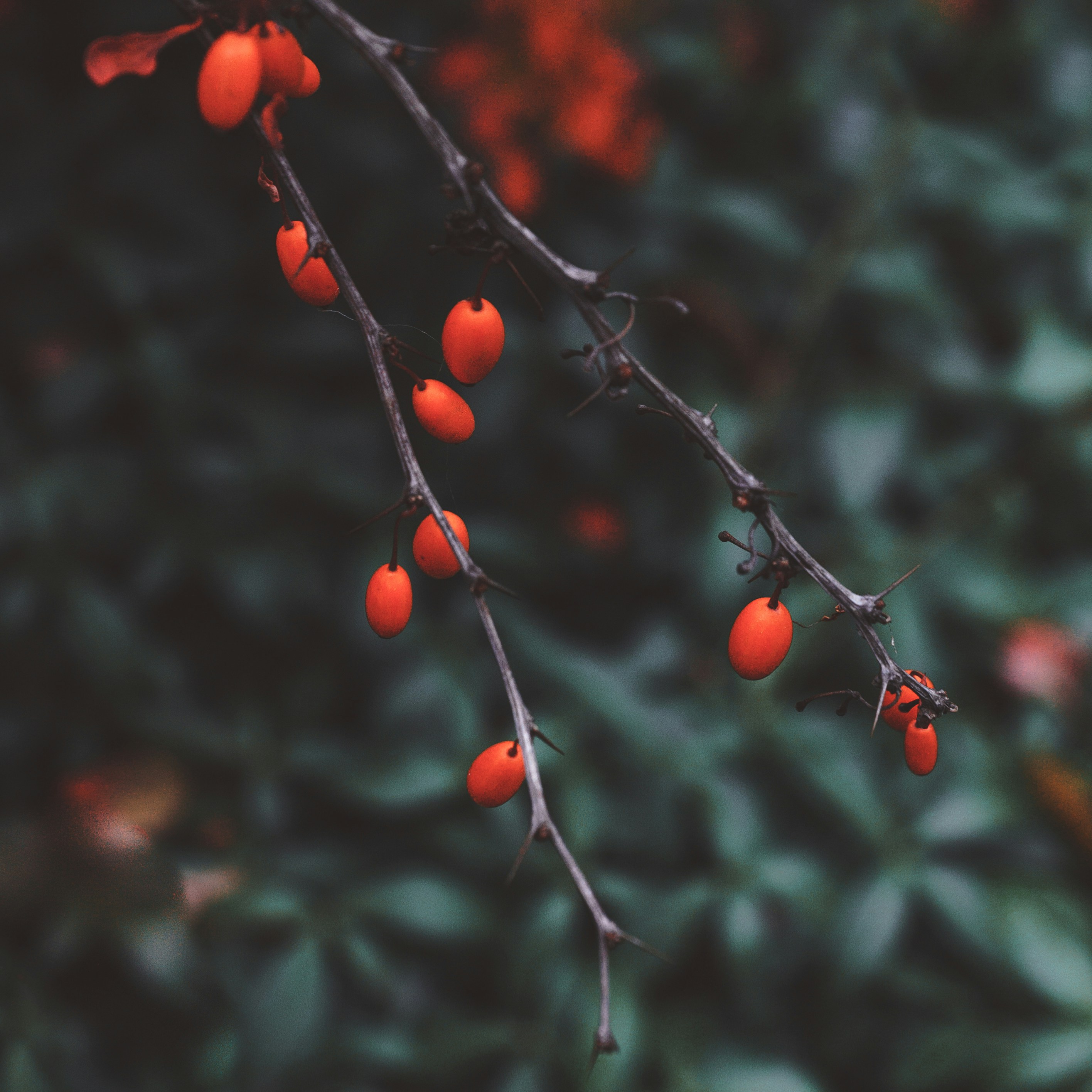 Photo by kate_astrid