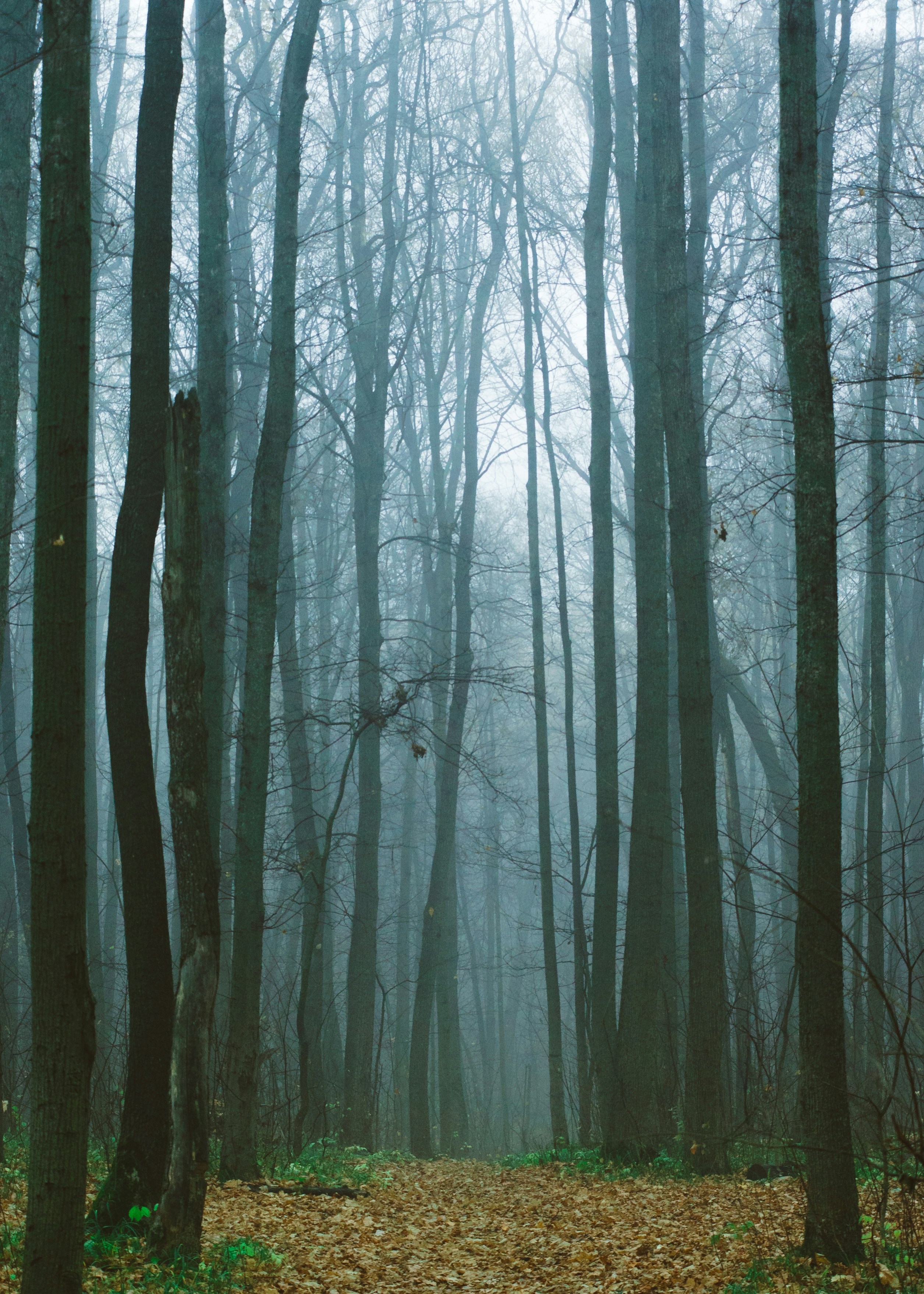 Photo by kate_astrid