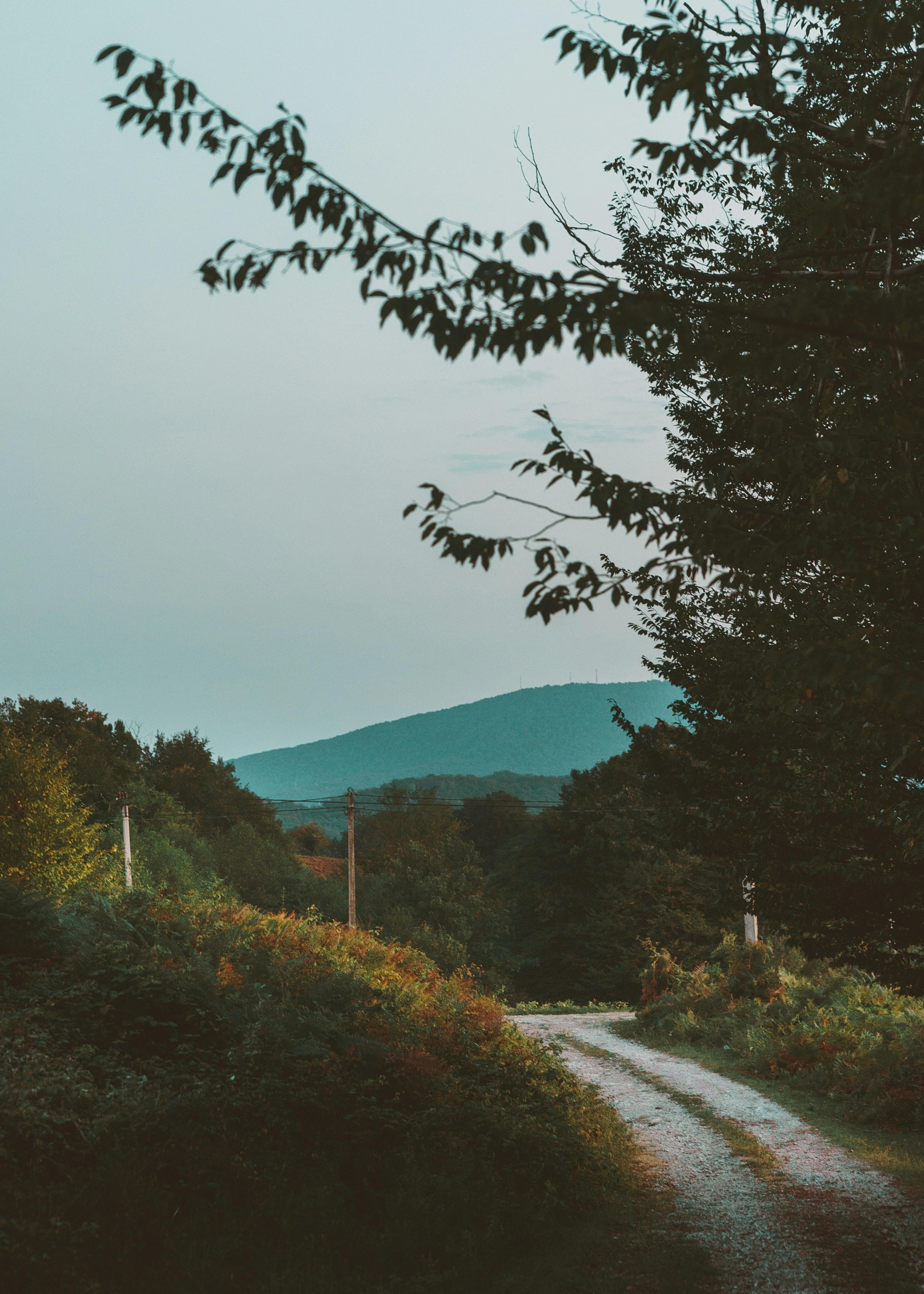 Photo by kate_astrid