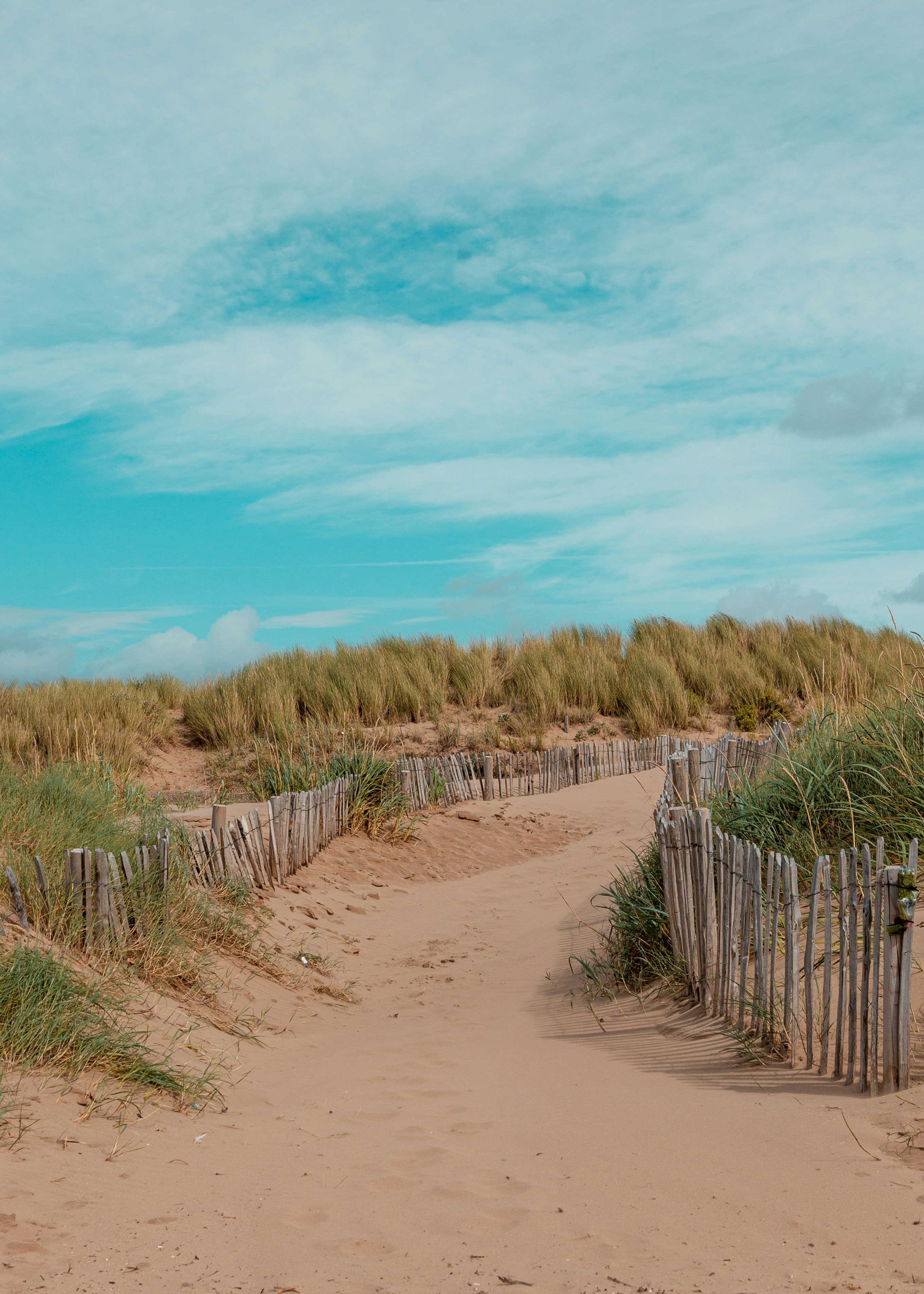 Photo by matthew_daniels