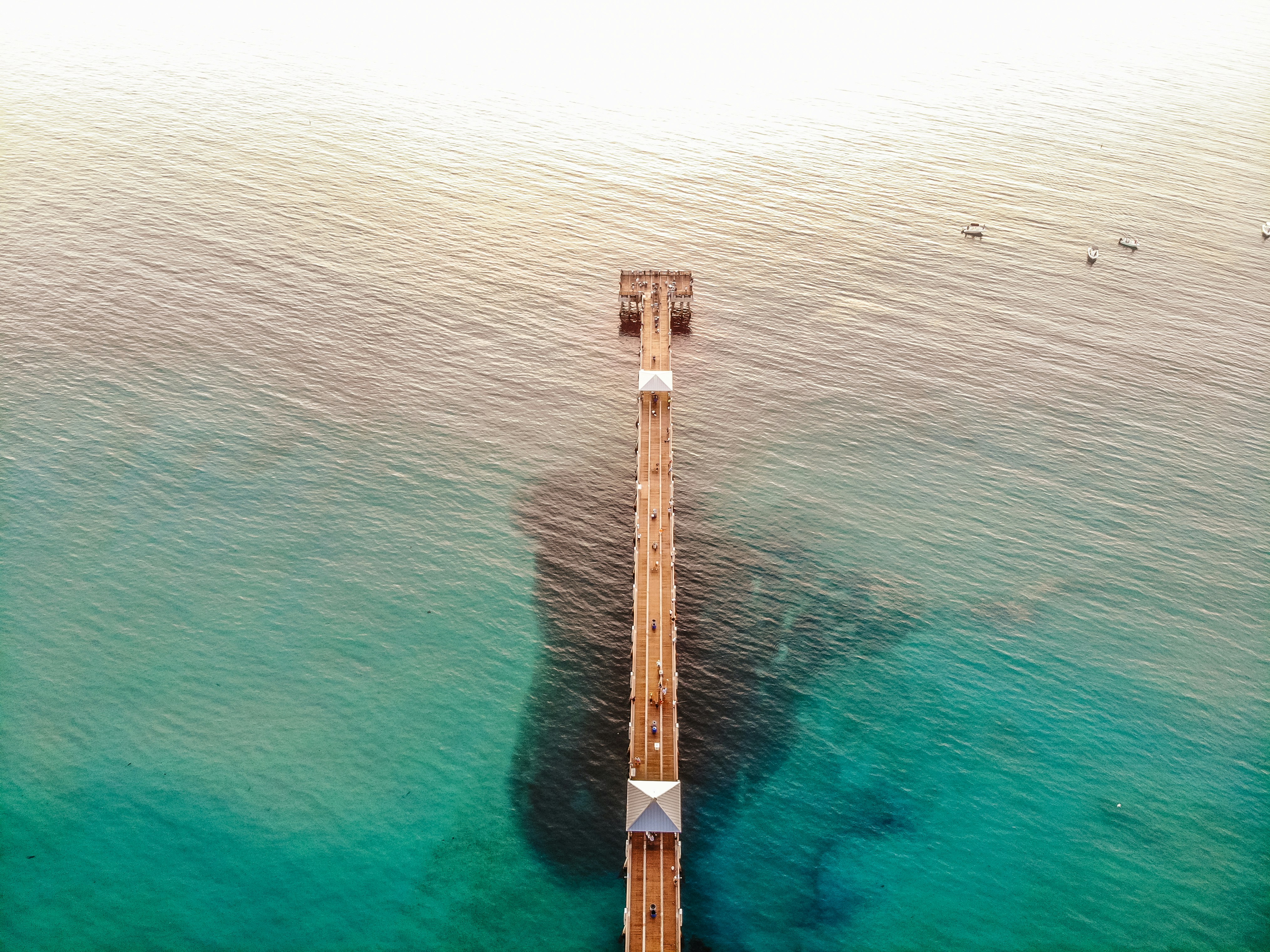 Photo by catch_a_vibe_photo