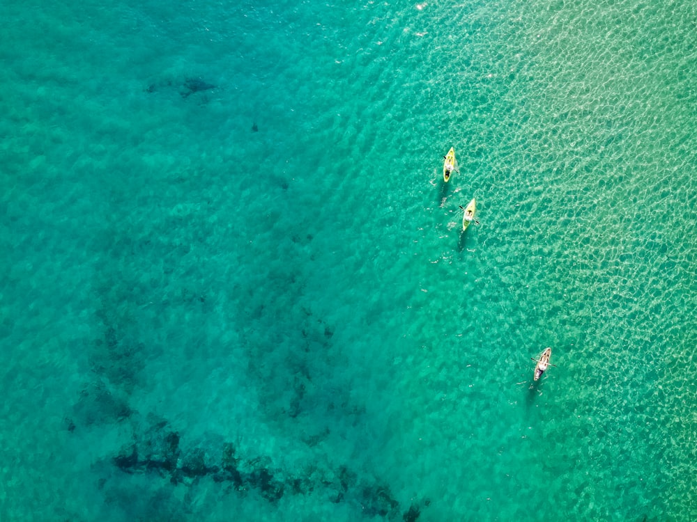 aerial photography of canoes