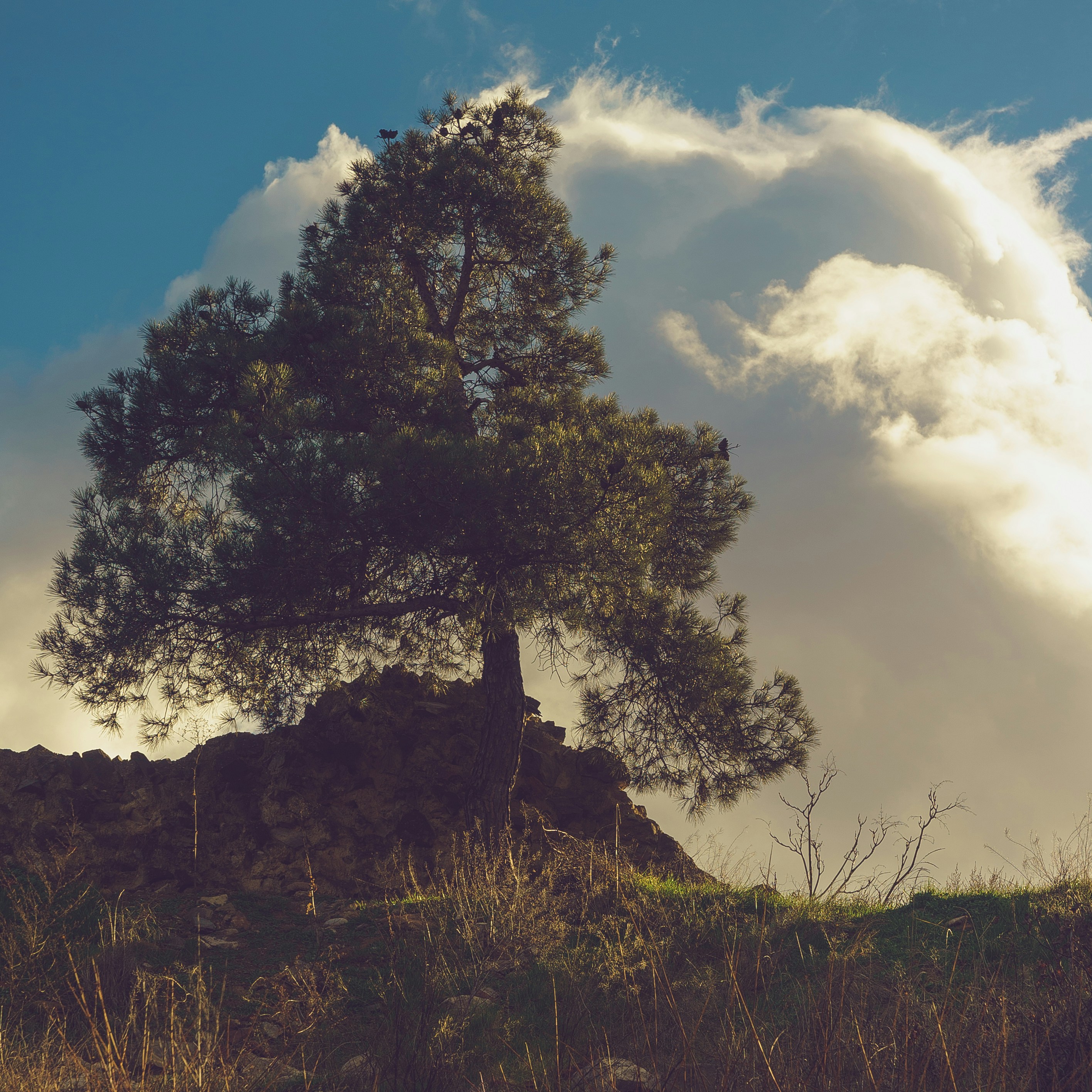 Photo by kate_astrid