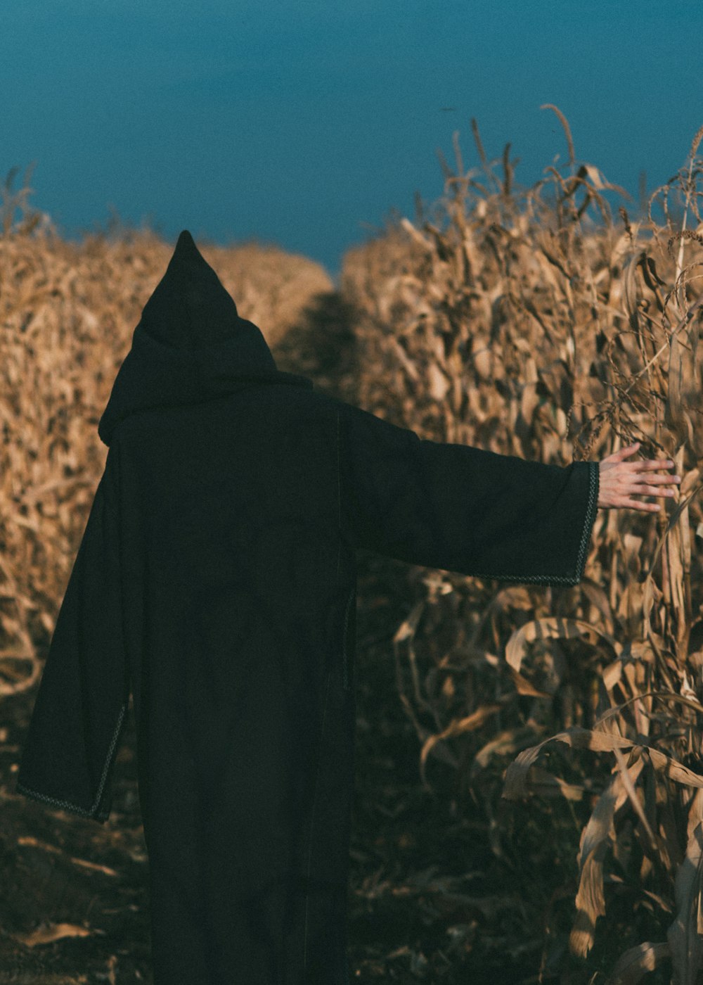 person wearing black coat standing in corn field during daytime