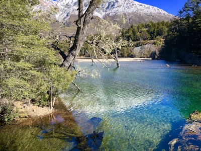 aerial photography of body of water viewing mountain during daytime