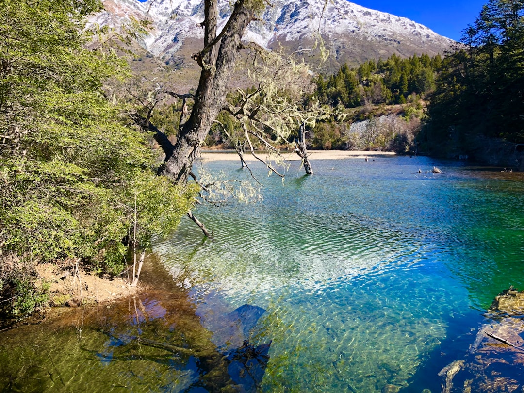 Nature reserve photo spot Bariloche Parque Nacional Los Arrayanes