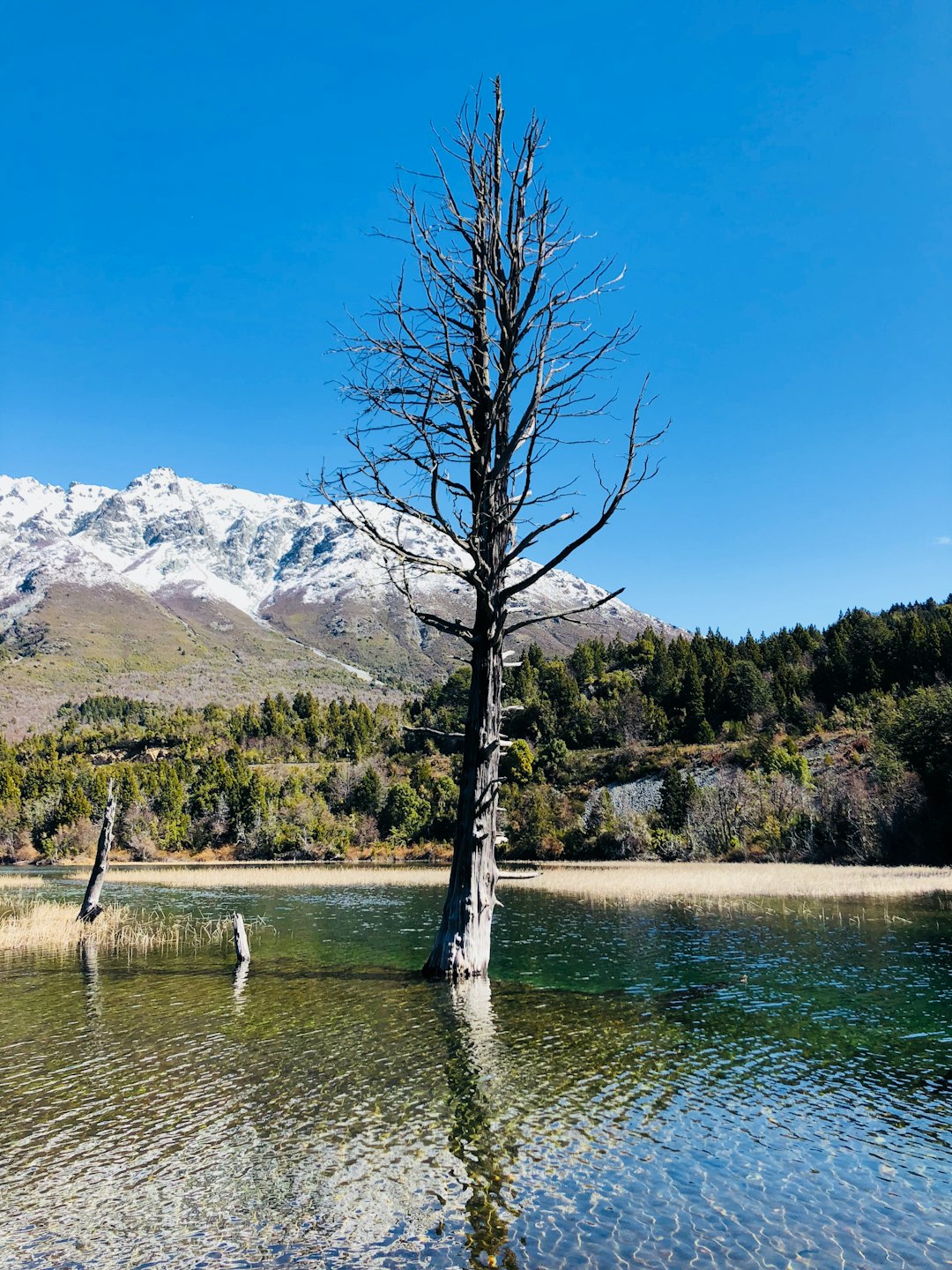 Lake photo spot Bariloche San Carlos de Bariloche