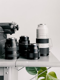Several camera lenses of varying sizes and a portion of a typewriter are placed on a gray surface with a simple plant leaf in the corner. The setting appears minimalistic and organized, suggesting a focus on photography or vintage equipment.