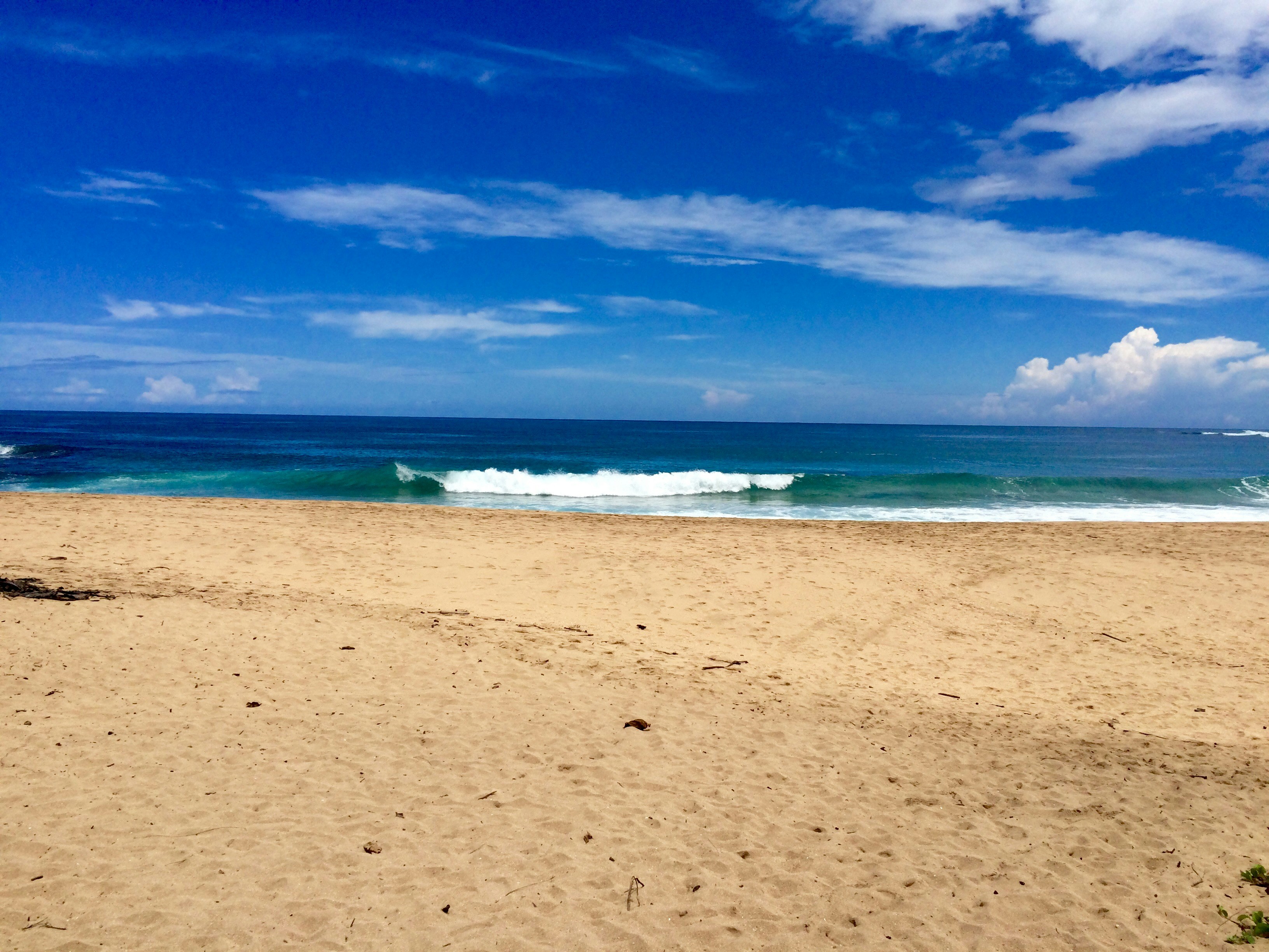 Photo by brandialxndra