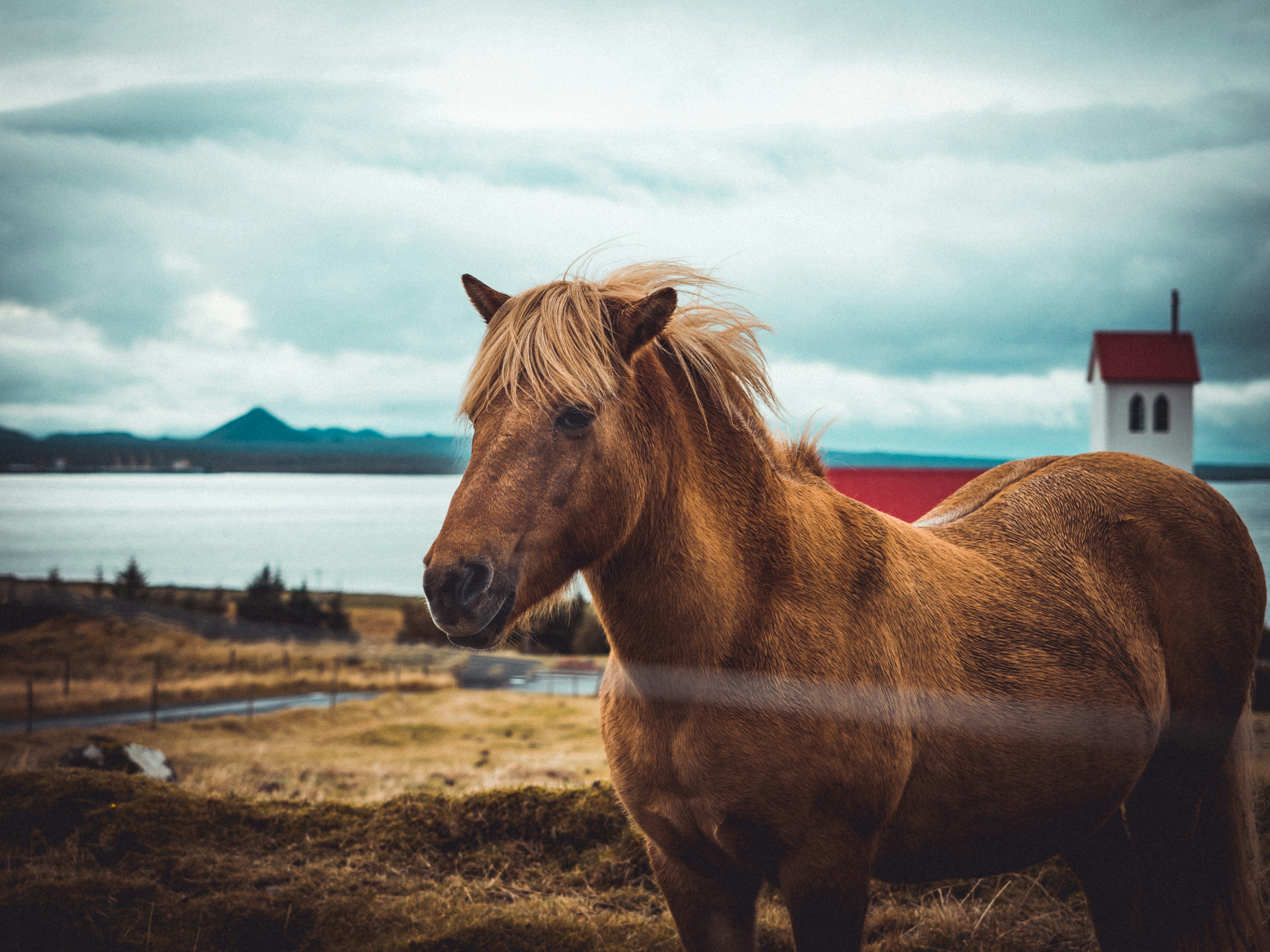 Photo by mikekilcoyne