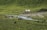 A serene pastoral landscape features a group of horses grazing on lush green grass near a flowing stream. In the background, two white yurts are situated, surrounded by small rocks and gently sloping hills covered in vegetation.