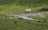 A serene pastoral landscape features a group of horses grazing on lush green grass near a flowing stream. In the background, two white yurts are situated, surrounded by small rocks and gently sloping hills covered in vegetation.