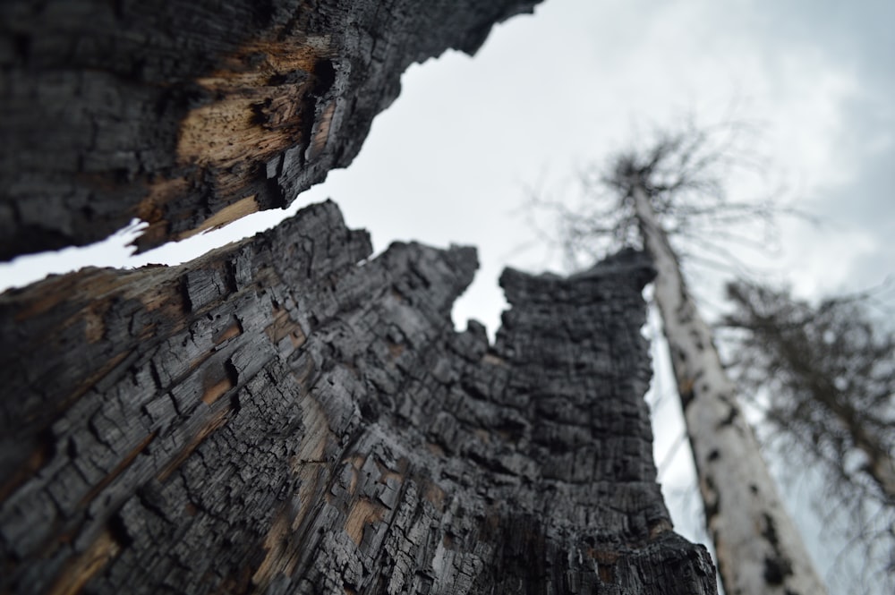 low angle photography of mountain