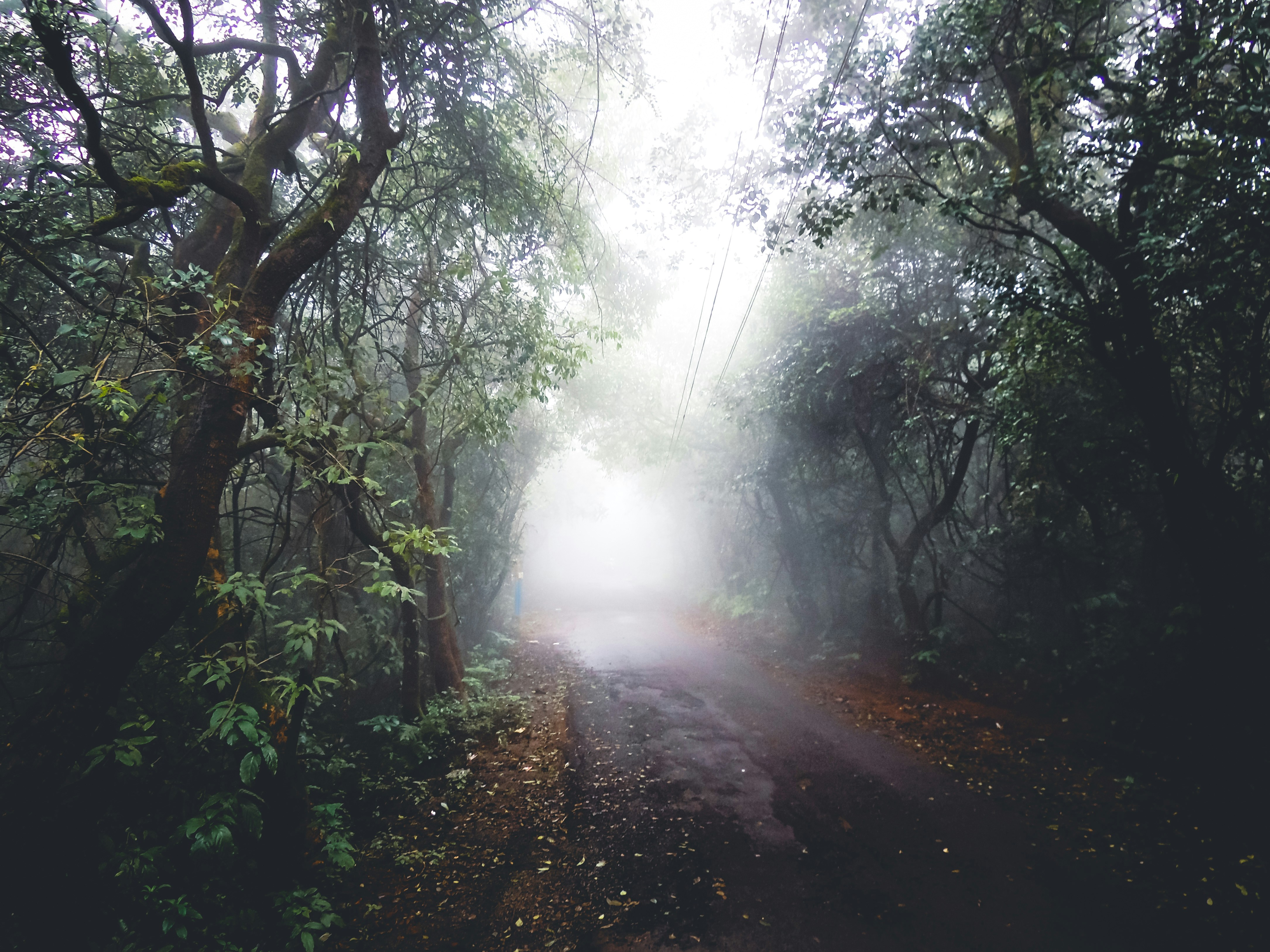 Photo by mohnishlandge