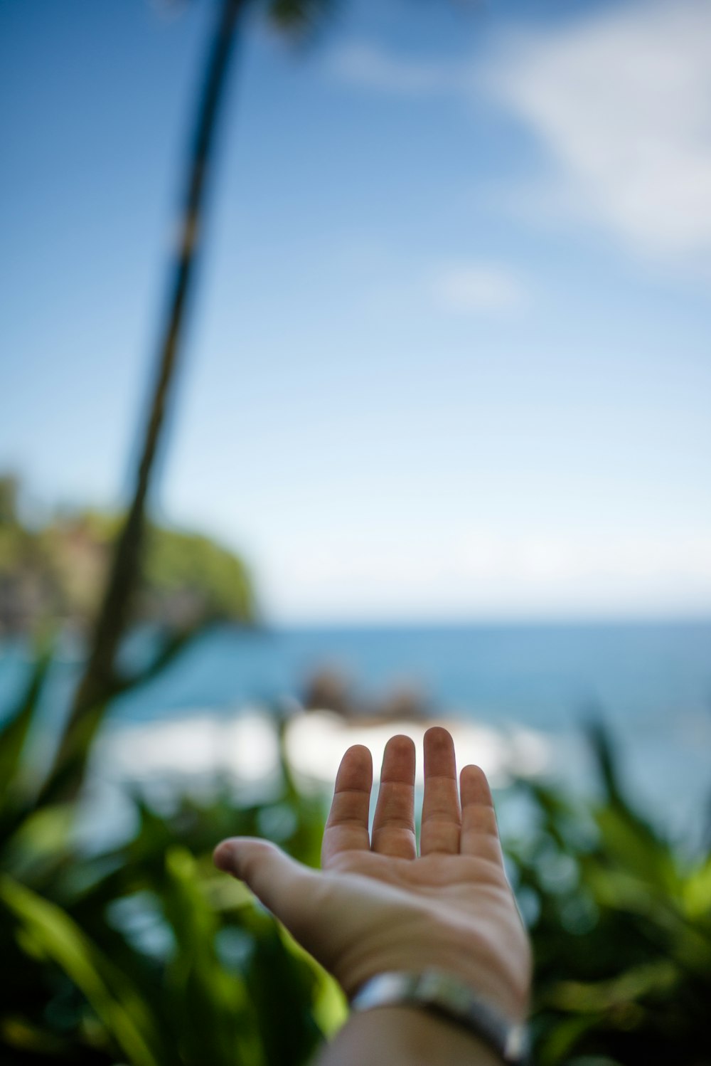 a person's hand reaching out towards the ocean