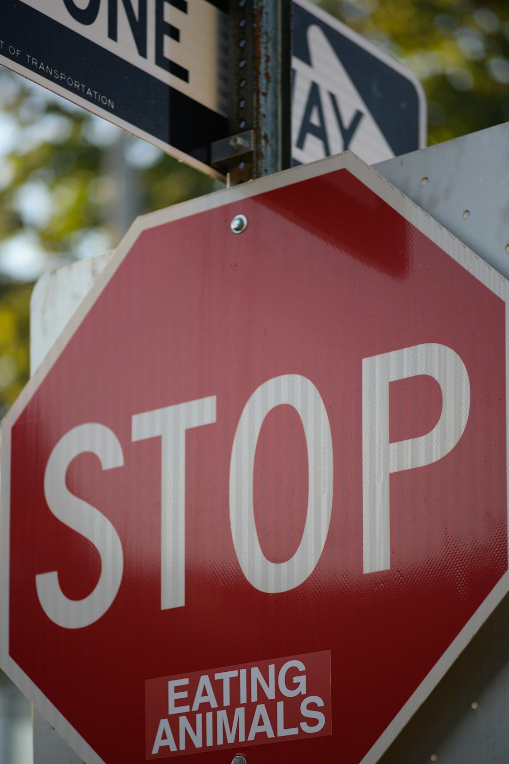 stop signage