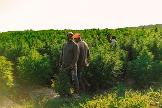 two men standing beside grass field