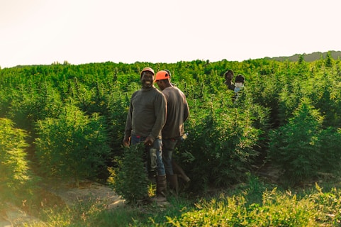 two men standing beside grass field