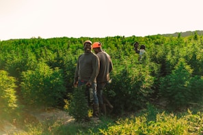 two men standing beside grass field