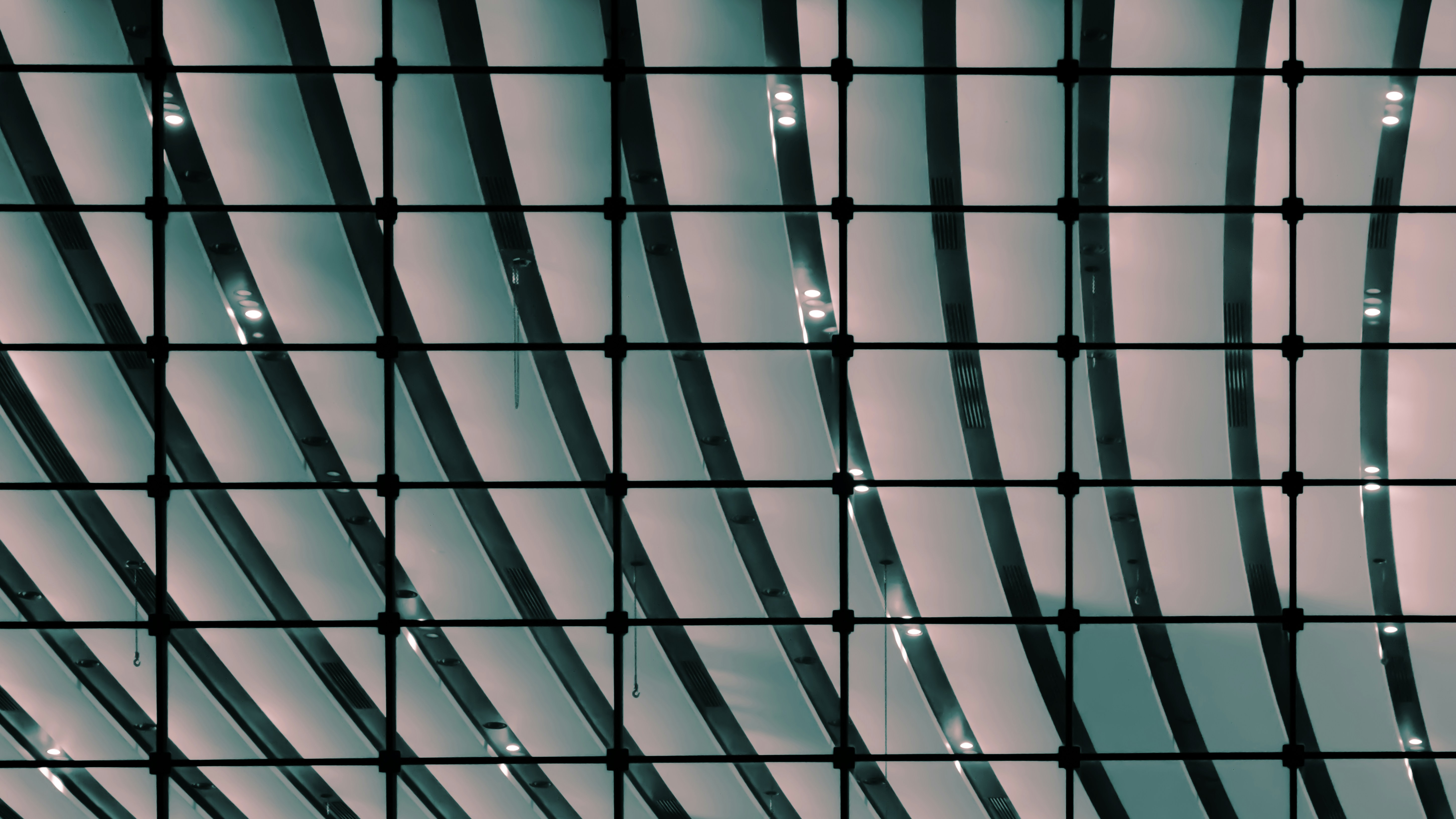 Photo by paracetamol