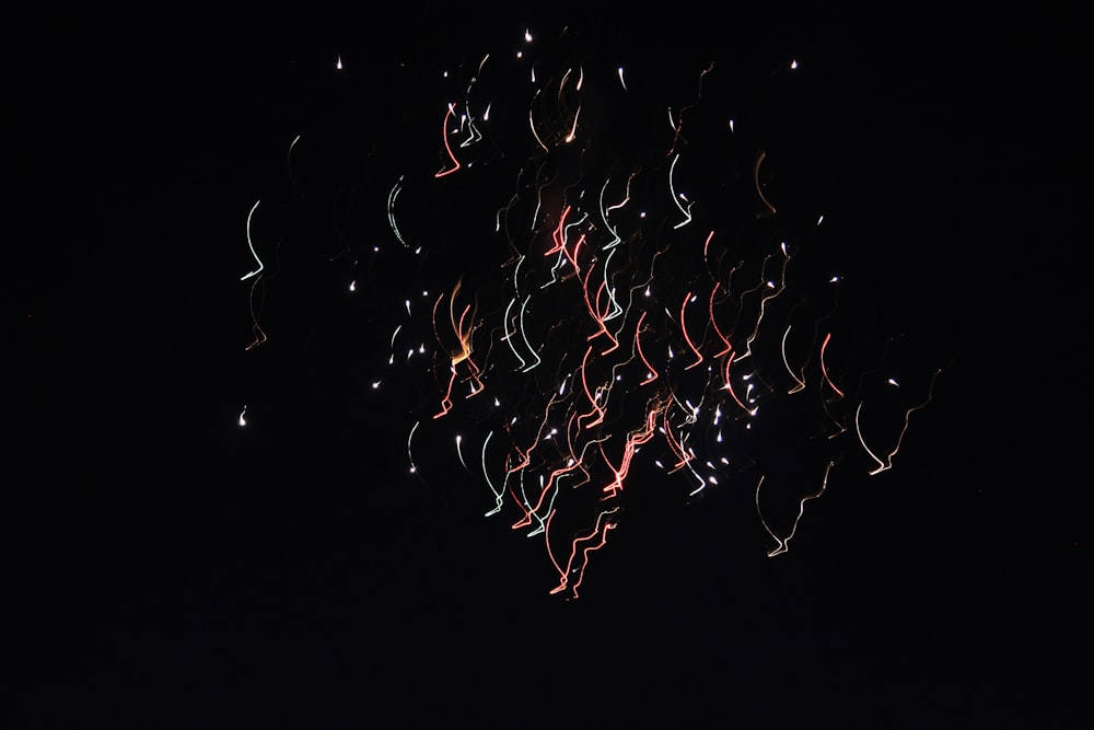 a large group of fireworks lit up the night sky