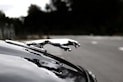 chrome Jaguar hood ornament