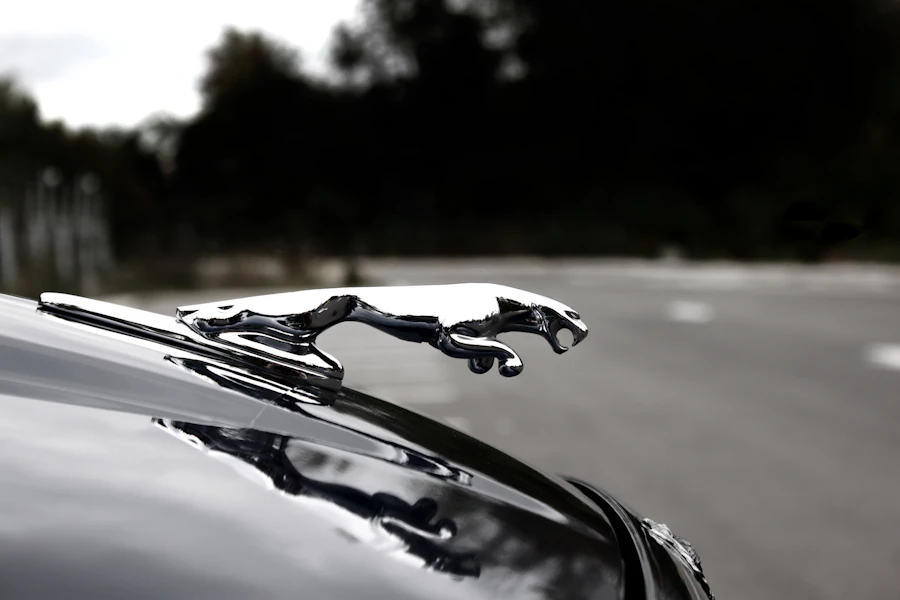 Taller Jaguar en Madrid